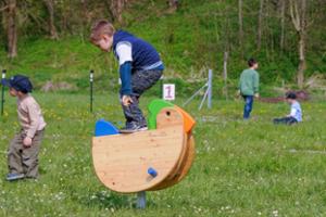 mała architektura, richter spielgeraete gmbh, cena aktualna, drewno ze zrównoważonej gospodarki leśnej z certyfikatem 70 % pefc 08.260.713, urządzenie atestowane przez tuv sud i zgodne z normą en 1176.