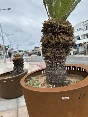 [translation-not-found:street-furniture], donica, inne